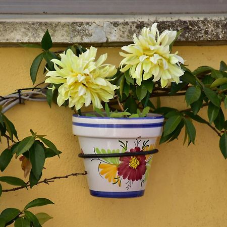 Bed and Breakfast Casa Raichu Obanos Екстер'єр фото
