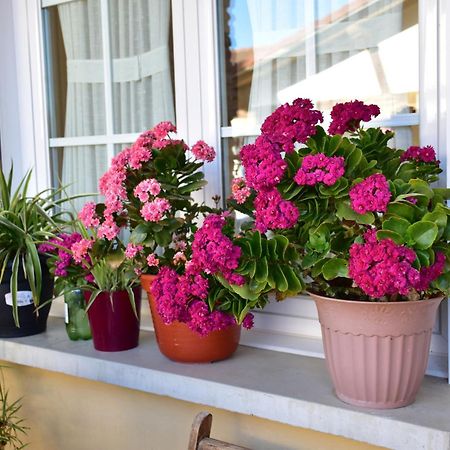 Bed and Breakfast Casa Raichu Obanos Екстер'єр фото