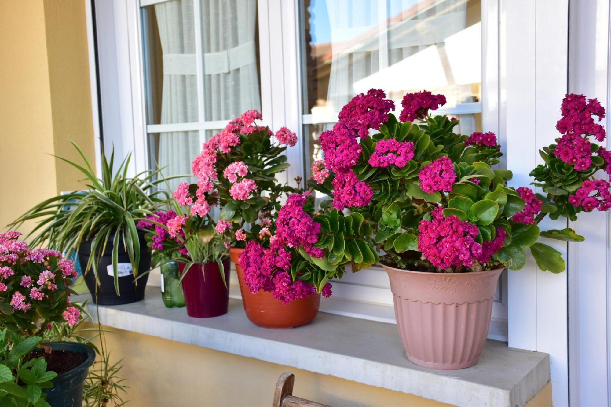Bed and Breakfast Casa Raichu Obanos Екстер'єр фото
